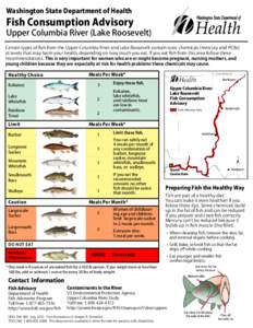 Upper Columbia River (Lake Roosevelt) Fish Consumption Advisory