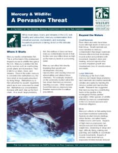   -ERCURY7ILDLIFE !0ERVASIVE4HREAT A FACTSHEET OF THE NATIONAL WILDLIFE FEDERATION’S CLEAN THE RAIN CAMPAIGN