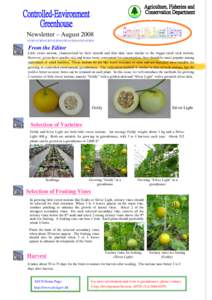 Newsletter – August 2008 From the Editor Little sweet melons, characterised by their smooth and thin skin, taste similar to the bigger-sized rock melons. However, given their smaller size and hence more convenient for 