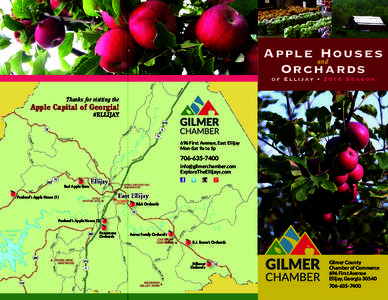 Georgia Apple Festival / North Georgia / Red Delicious / Gala / Geography of Georgia / Georgia / Ellijay /  Georgia