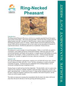 Photo Courtesy of South Dakota Game Fish and Parks  Introduction The Ring-necked Pheasant (Phasianus colchicus) is a popular gamebird found throughout much of the United States. This easily distinguishable, chicken-like 