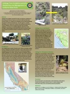 Cabbage Tree (Cordyline australis) Distribution and Management in California State Parks Ramona Robison1 and Chris Heintzelman2 California Department of Parks and Recreation 1. Natural Resources Division, Sacramento; Ram