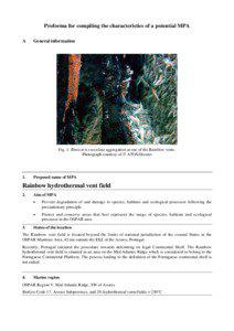 Proforma for compiling the characteristics of a potential MPA A