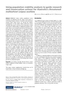 Using population viability analysis to guide research and conservation actions for Australia’s threatened malleefowl Leipoa ocellata M i c h a e l B o d e and K a r l E . C . B r e n n a n Abstract Malleefowl Leipoa oc