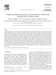 Biological Conservation–234 www.elsevier.com/locate/biocon Trophic cascades among wolves, elk and aspen on Yellowstone National Park’s northern range William J. Ripplea,*, Eric J. Larsenb, Roy A. Renki