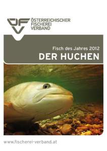 Fisch des Jahres[removed]DER HUCHEN © Manu Esteve