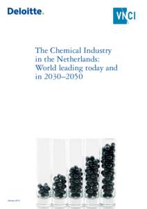 The Chemical Industry in the Netherlands: World leading today and in 2030–2050  January 2012