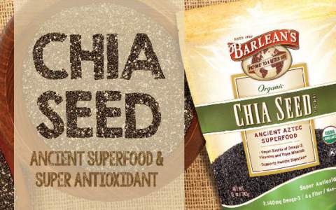 Lit 402  WHY CHIA? THE “INDIAN RUNNING FOOD” These tiny “super seeds” have experienced a new surge