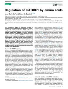 TICB-1044; No. of Pages 7  Review Regulation of mTORC1 by amino acids Liron Bar-Peled1 and David M. Sabatini2,3,4,5