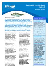 Responsible Sourcing Guide:  Haddock Version 7 - MayMelanogrammus aeglefinus