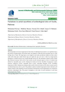 Capnodiales / Cladosporium herbarum / Aspergillus / Fungus / Penicillium chrysogenum / Microfungi / Mold / Cladosporium / Fungi imperfecti / Ascomycota / Alternaria / Fungi