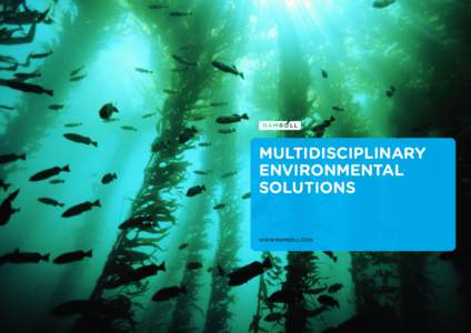 MULTIDISCIPLINARY ENVIRONMENTAL SOLUTIONS WWW.RAMBOLL.COM