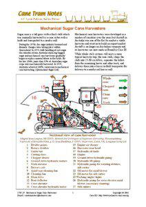 Mechanical Sugar Cane Harvesters Sugar cane is a tall grass with a thick stalk which was manually harvested by a cane cutter with a