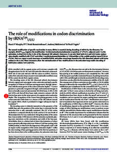 © 2004 Nature Publishing Group http://www.nature.com/nsmb  ARTICLES The role of modifications in codon discrimination by tRNALysUUU