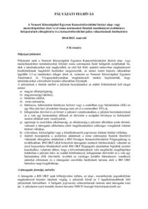 PÁLYÁZATI FELHÍVÁS A Nemzeti Közszolgálati Egyetem Katasztrófavédelmi Intézet alap- vagy mesterképzésben részt vevő roma származású fiatalok tanulmányai eredményes befejezésének elősegítésére és 