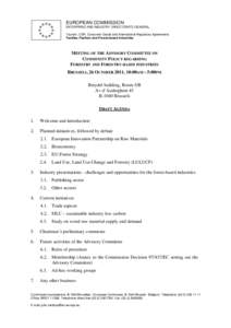 EUROPEAN COMMISSION ENTERPRISE AND INDUSTRY DIRECTORATE-GENERAL Tourism, CSR, Consumer Goods and International Regulatory Agreements Textiles, Fashion and Forest-based Industries  MEETING OF THE ADVISORY COMMITTEE ON