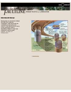 Exploratorium: Faultline  Seismically safe freeways Earthquakes can devastate bridges and take down highway overpasses. Older structures are