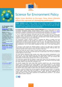 Alder tree decline in Europe: how does climate affect the spread of damaging pathogen? 11 December 2014 Issue 397 Subscribe to free