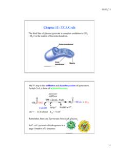 [removed]	
    Chapter 13 - TCA Cycle The third fate of glucose/pyruvate is complete oxidation to CO2 + H2O in the matrix of the mitochondrion.