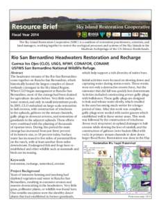 Resource Brief  Sky Island Restoration Cooperative Fiscal Year 2014 The Sky Island Restoration Cooperative (SIRC) is a coalition of restoration practitioners, scientists, and