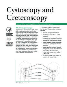 Cystoscopy and Ureteroscopy