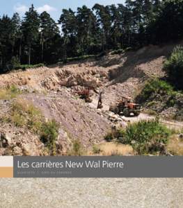 Les carrières New Wal Pierre QUARTZITE |  GRÈS DU CONDROZ