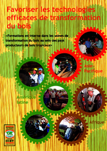 PROMOTING EFFICIENT WOOD PROCESSING TECHNOLOGIES Poster_FRENCH_ copy