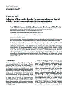 Induction of Reparative Dentin Formation on Exposed Dental Pulp by Dentin Phosphophoryn/Collagen Composite
