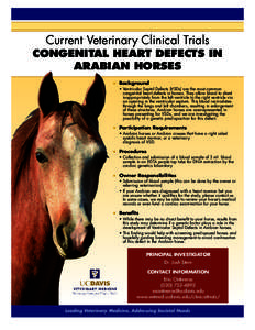 Current Veterinary Clinical Trials  CONGENITAL HEART DEFECTS IN ARABIAN HORSES ■■