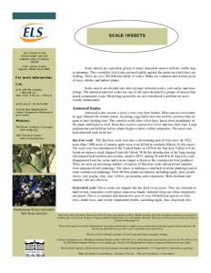 Organization  SCALE INSECTS URI COLLEGE OF THE ENVIRONMENT AND LIFE