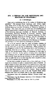 Choctaw people / McCurtain County /  Oklahoma / Pushmataha / Choctaw / Okmulgee County /  Oklahoma / United States presidential election /  2004 /  in Oklahoma / National Register of Historic Places listings in Oklahoma / Geography of Oklahoma / Oklahoma / Southern United States