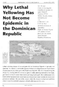 Dominican Republic / Political geography / Geography / Earth / Tropical agriculture / Lethal yellowing / Palms