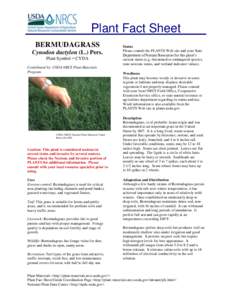 Plant Fact Sheet BERMUDAGRASS Cynodon dactylon (L.) Pers. Plant Symbol = CYDA Contributed by: USDA NRCS Plant Materials Program