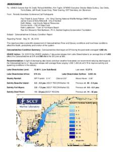 MEMORANDUM To: USACE Colonel Alan M. Dodd, Richard McMillen, Kim Taplin, SFWMD Executive Director Blake Guillory, Dan Delisi, Terrie Bates, Jeff Kivett, Susan Gray, Peter Doering, DEP Secretary Jon Steverson From: Period