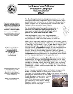 Botany / Bears / Insect ecology / Beekeeping / Symbiosis / Pollinator / North American Pollinator Protection Campaign / Grizzly bear / Bee / Plant reproduction / Biology / Pollination