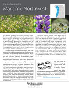 Pollinator Plants  Maritime Northwest Douglas meadowfoam, bigleaf lupine, and pacific ninebark.