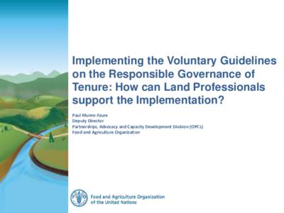 Implementing the Voluntary Guidelines on the Responsible Governance of Tenure: How can Land Professionals support the Implementation? Paul Munro-Faure Deputy Director