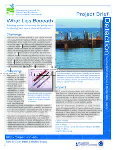 Cooperative Institute for Coastal and Estuarine Environmental Technology Project Brief