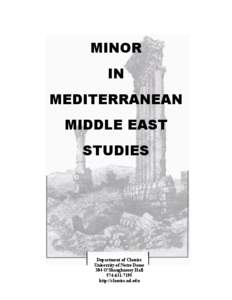 MINOR IN MEDITERRANEAN MIDDLE EAST STUDIES