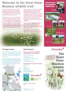 Welcome to the Great Stour Meadow wildlife trail Wildlife and factories don’t mix, do they? Well, Givaudan and the Kentish Stour Countryside Partnership (KSCP) believe they can. They have been working together since 19