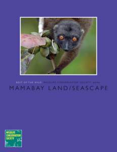 Sava Region / Physical geography / Fisheries / Silky sifaka / Water / Coral reef / Antongil Bay / Ruffed lemur / Mangrove / Analanjirofo / Lemurs / Masoala National Park