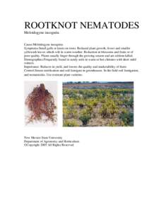 ROOTKNOT NEMATODES Meloidogyne incognita Cause:Meloidogyne incognita Symptoms:Small galls or knots on roots. Reduced plant growth, fewer and smaller yellowish leaves which wilt in warm weather. Reduction in blossoms and 