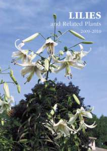 Plant taxonomy / Lilium / Royal Horticultural Society / Henry John Elwes / Daylily / Lilies / Bulb / Lily seed germination types / Botany / Flowers / Biology