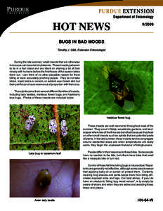 PURDUE EXTENSION  HOT NEWS Department of Entomology