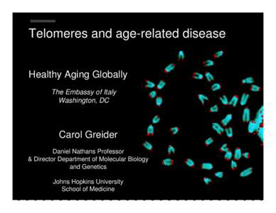 Telomeres and age-related disease Healthy Aging Globally The Embassy of Italy Washington, DC Healthy Aging Globally