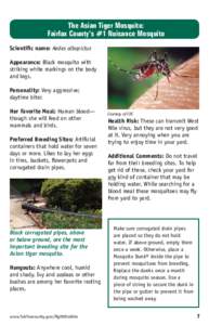 The Asian Tiger Mosquito: Fairfax County’s #1 Nuisance Mosquito Scientific name: Aedes albopictus Appearance: Black mosquito with striking white markings on the body and legs.