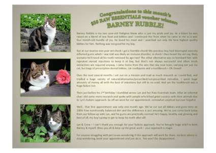 Barney	
   Rubble	
   is	
   my	
   two	
   year-­‐old	
   Pedigree	
   Manx	
   who	
   is	
   just	
   my	
   pride	
   and	
   joy.	
   As	
   a	
   ki>en	
   he	
   was	
   raised	
  on	
  a	