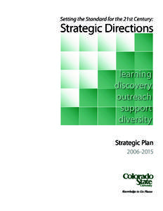 Setting the Standard for the 21st Century: Strategic Directions