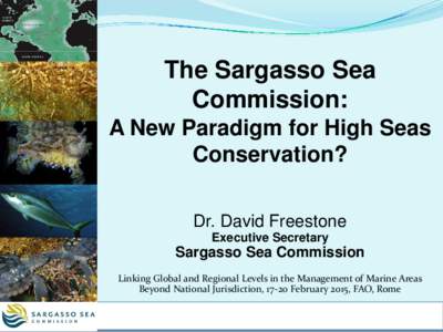 The Sargasso Sea Commission: A New Paradigm for High Seas Conservation? Dr. David Freestone Executive Secretary