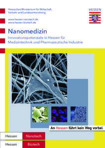 Hessisches Ministerium für Wirtschaft, Verkehr und Landesentwicklung www.hessen-nanotech.de